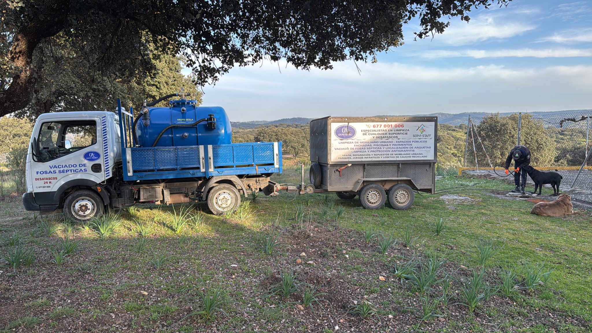 FA B B AE A F A F FFE F C